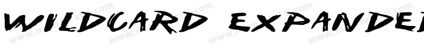 Wildcard Expanded Italic Expanded I字体转换